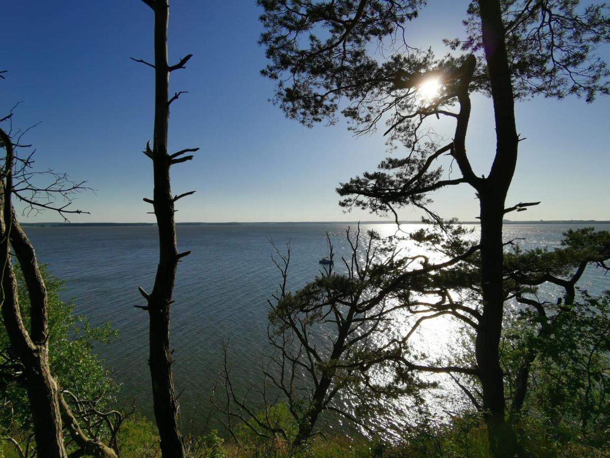 Apartment Waldblick Vom Naturhof Usedom Bannemin Zewnętrze zdjęcie