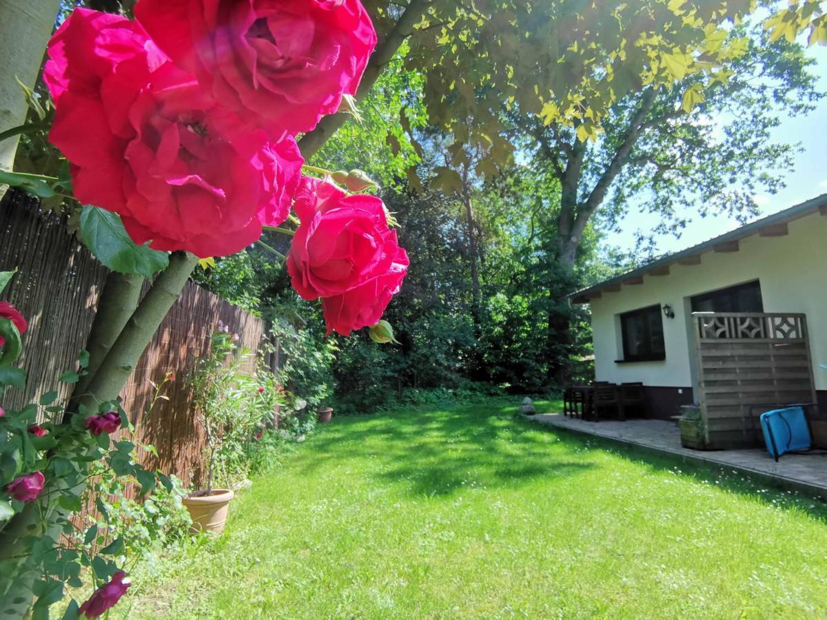 Apartment Waldblick Vom Naturhof Usedom Bannemin Zewnętrze zdjęcie